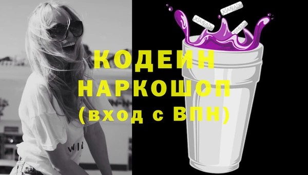 гидра Верхний Тагил