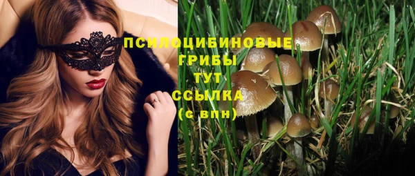 твердый Волоколамск