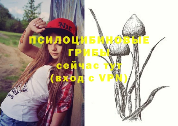 прущая мука Сосновка