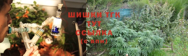 стаф Волосово