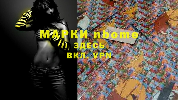 стаф Волосово