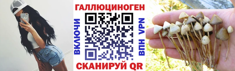 Псилоцибиновые грибы ЛСД  ссылка на мегу как зайти  Голицыно 